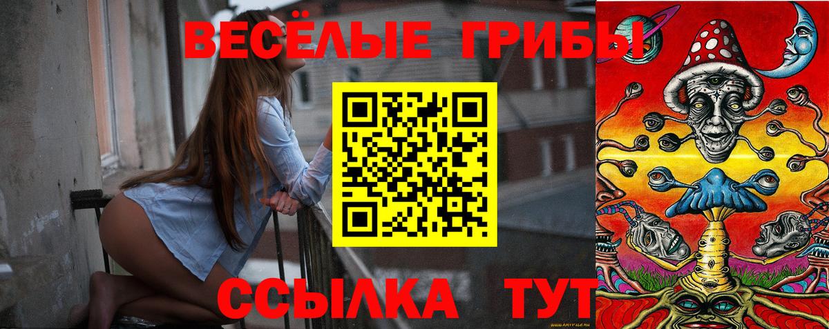 Псилоцибиновые грибы прущие грибы Вольск